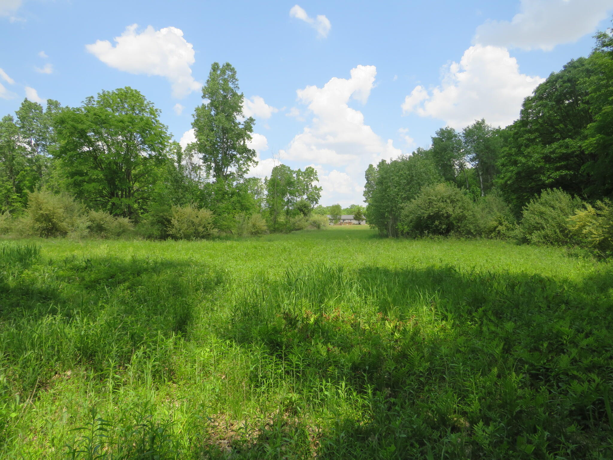 2347 West Maple Road Perrinton, MI 48871 - Photo 49 of 64 IMG_4288