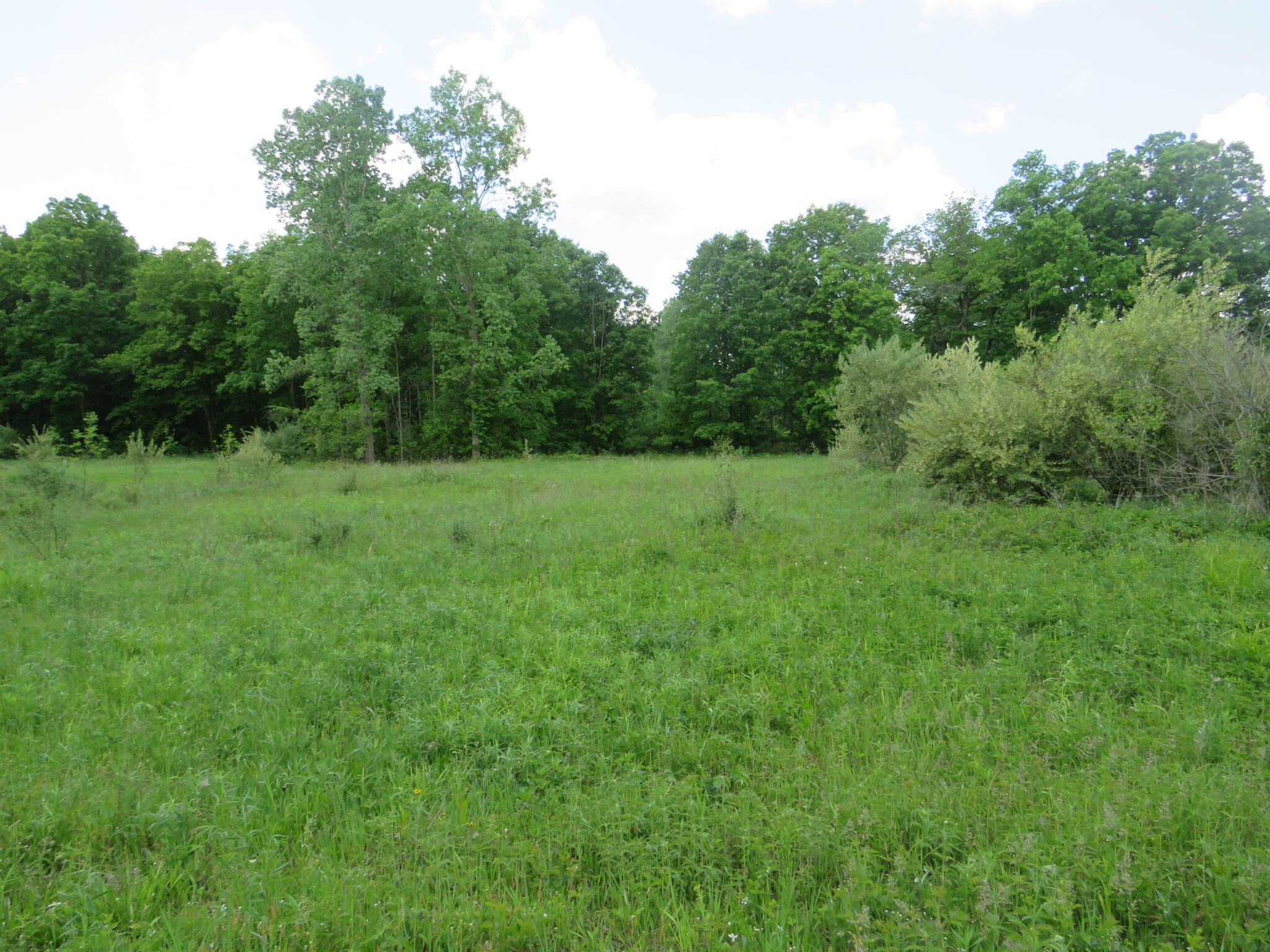2347 West Maple Road Perrinton, MI 48871 - Photo 51 of 64 IMG_4295