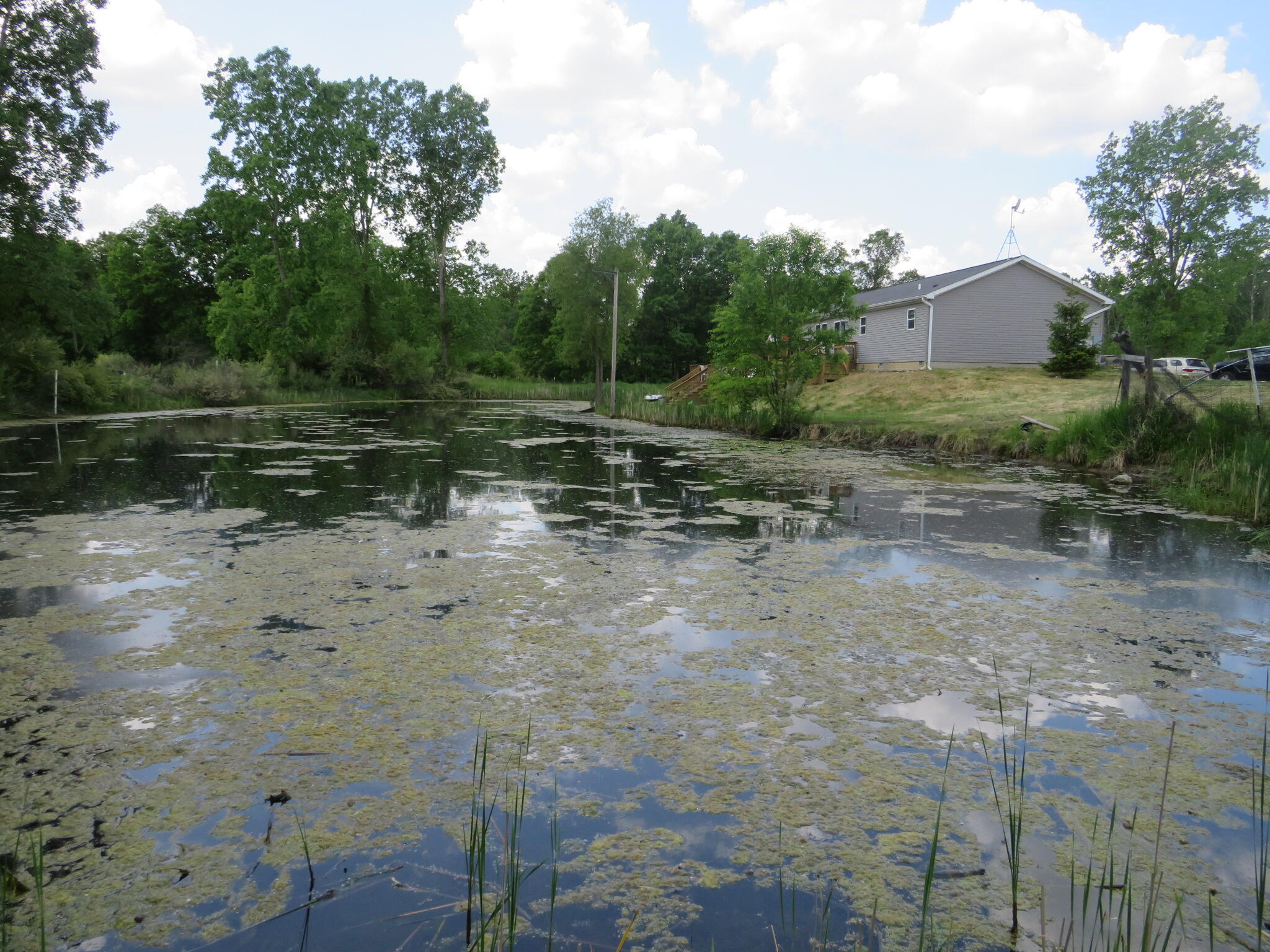 2347 West Maple Road Perrinton, MI 48871 - Photo 54 of 64 IMG_4301