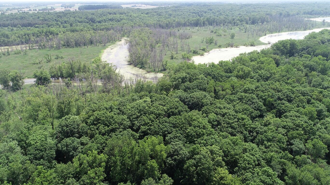 2347 West Maple Road Perrinton, MI 48871 - Photo 60 of 64 DJI_0100