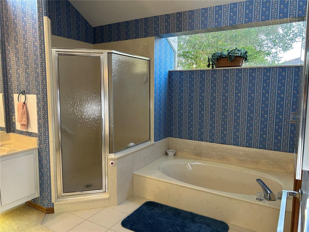 9528 Southeast 70th Terrace Ocala, FL 34472 - Photo 15 of 43 a bathroom with a bathtub and a shower