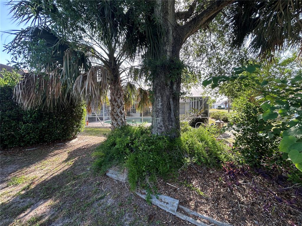 9528 Southeast 70th Terrace Ocala, FL 34472 - Photo 31 of 43 a view of backyard with green space