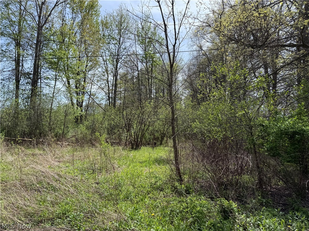 V/l Donley Road Middlefield, OH 44062 - Photo 30 of 30