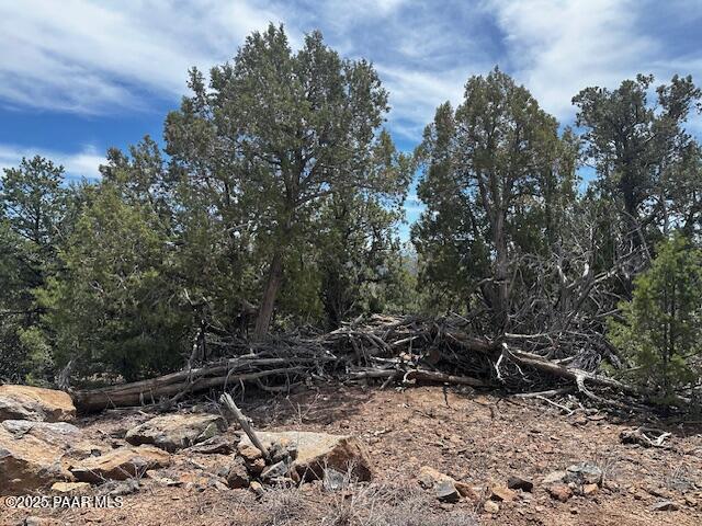 0 Shiloh Road Seligman, AZ 86337 - Photo 27 of 37 IMG_8830