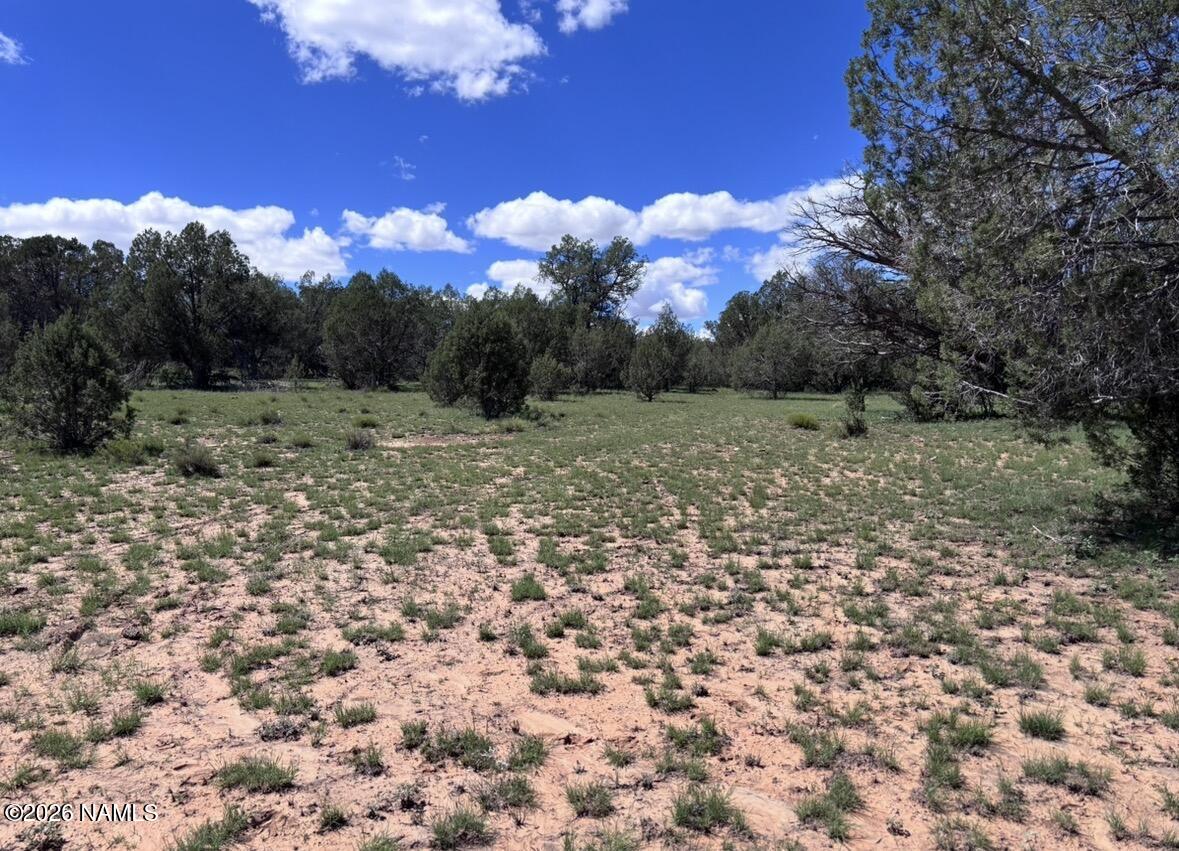 220 East Six Shooter Road Williams, AZ 86046 - Photo 28 of 32 IMG_4359