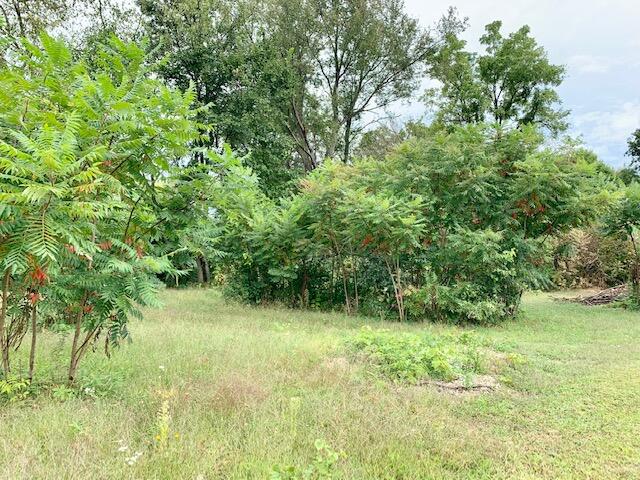 64706 Robinson Road Cassopolis, MI 49031 - Photo 4 of 10 IMG_7237
