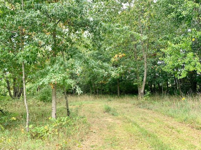 64706 Robinson Road Cassopolis, MI 49031 - Photo 5 of 10 IMG_7239