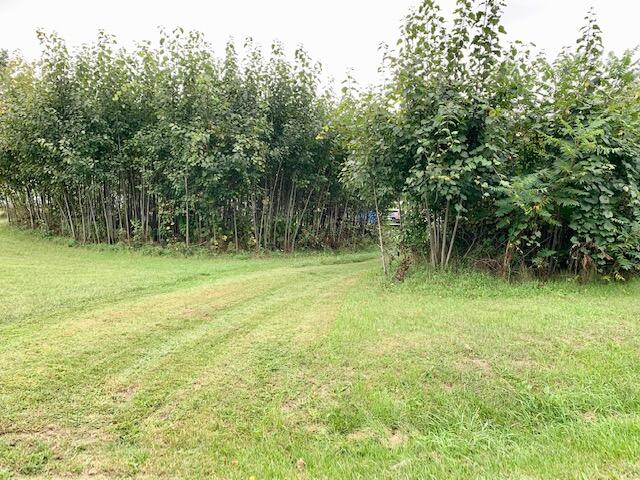 64706 Robinson Road Cassopolis, MI 49031 - Photo 6 of 10 IMG_7252