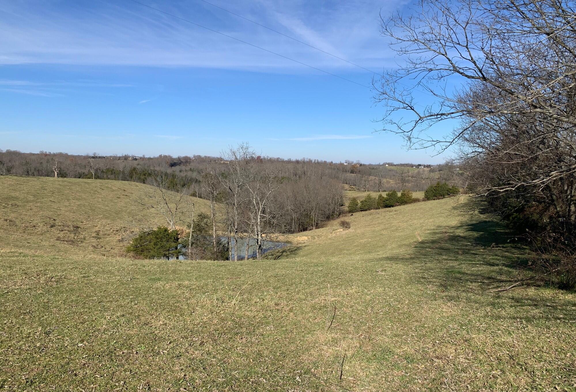 657 Snell Lane Dry Ridge, KY 41035 - Photo 7 of 8