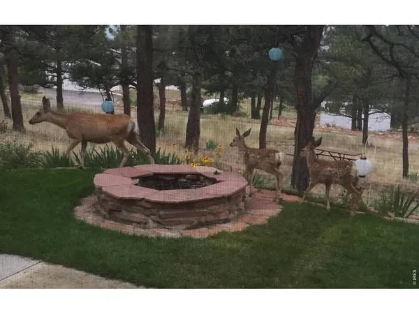 $875,000 | 4000 Fawn Trail, Loveland, CO 80537
