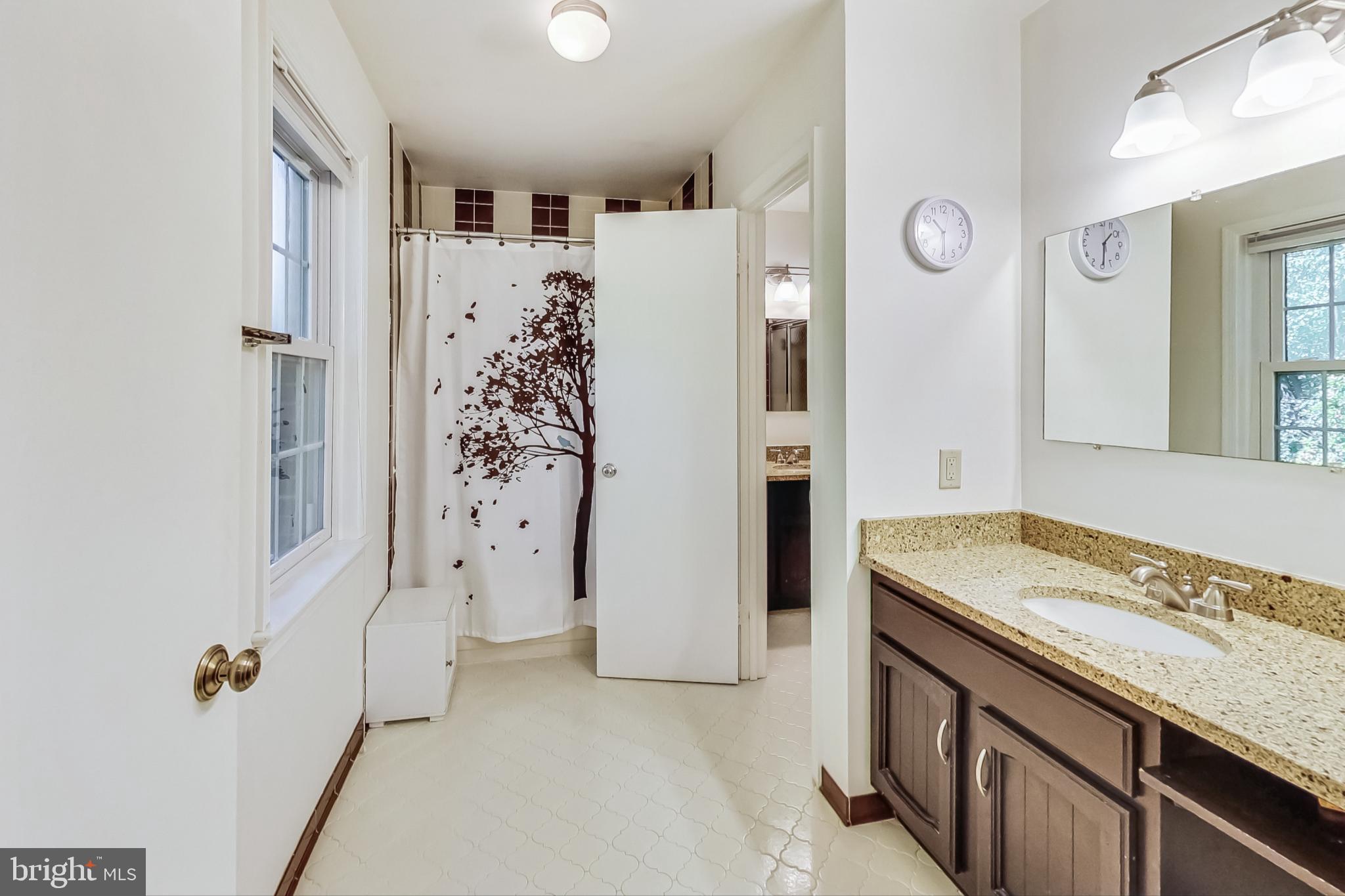 9729 Maury Road Fairfax, VA 22032 - Photo 34 of 67 Primary bath