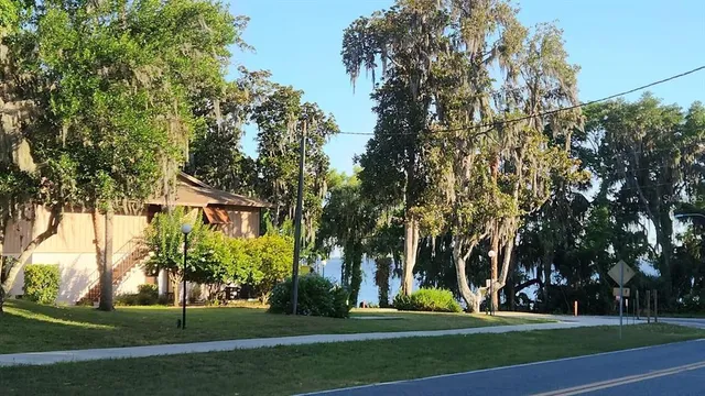 a view of a tree in front of a house