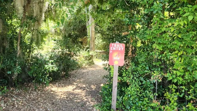 a view of a park with a bench