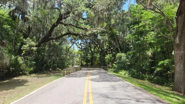 a view of a park that has a tree on the side
