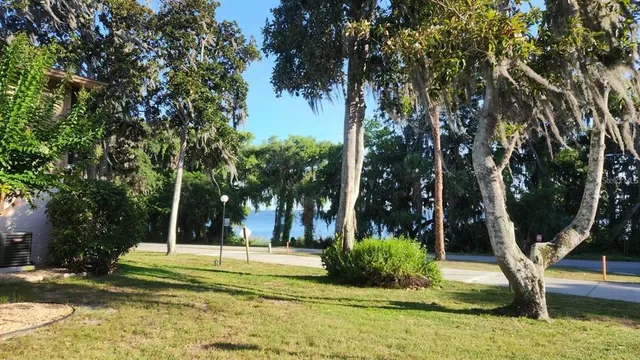 a backyard of a house with lots of green space