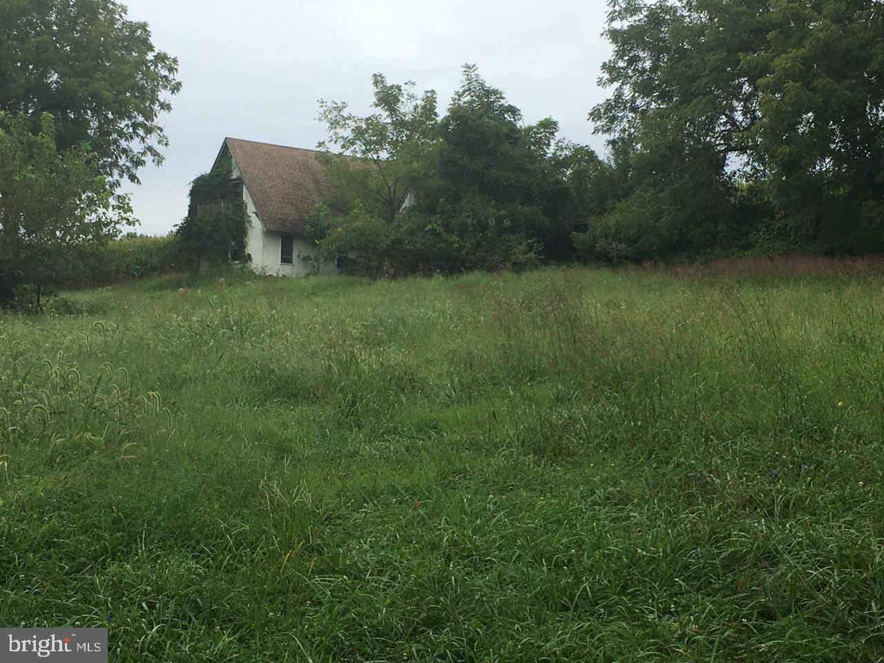 409 Brewster Bridge Road Elkton, MD 21921 - Photo 5 of 5 Stable on property