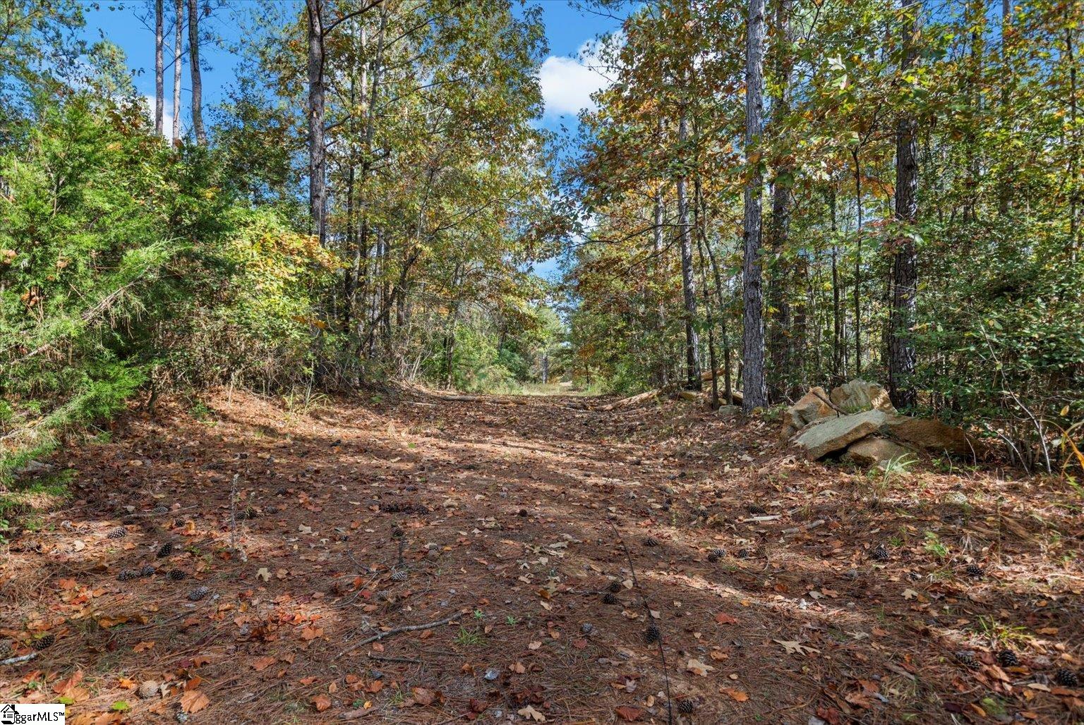 879 Dunklin Bridge Road Fountain Inn, SC 29644 - Photo 1 of 26
