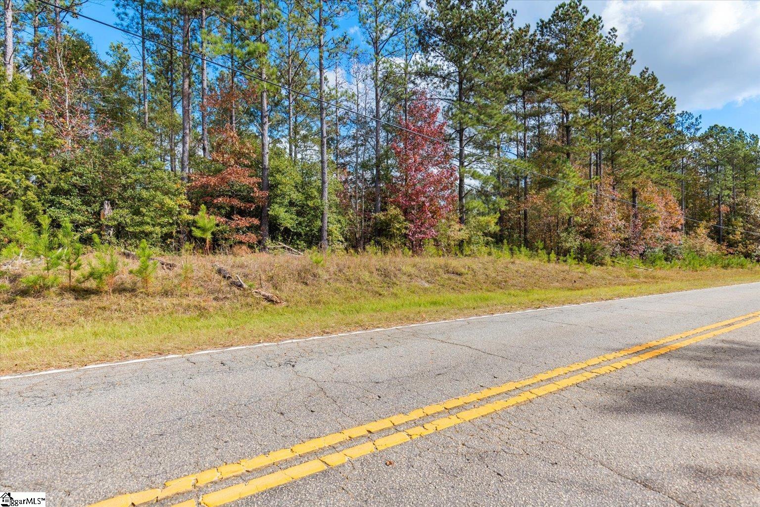 879 Dunklin Bridge Road Fountain Inn, SC 29644 - Photo 11 of 26