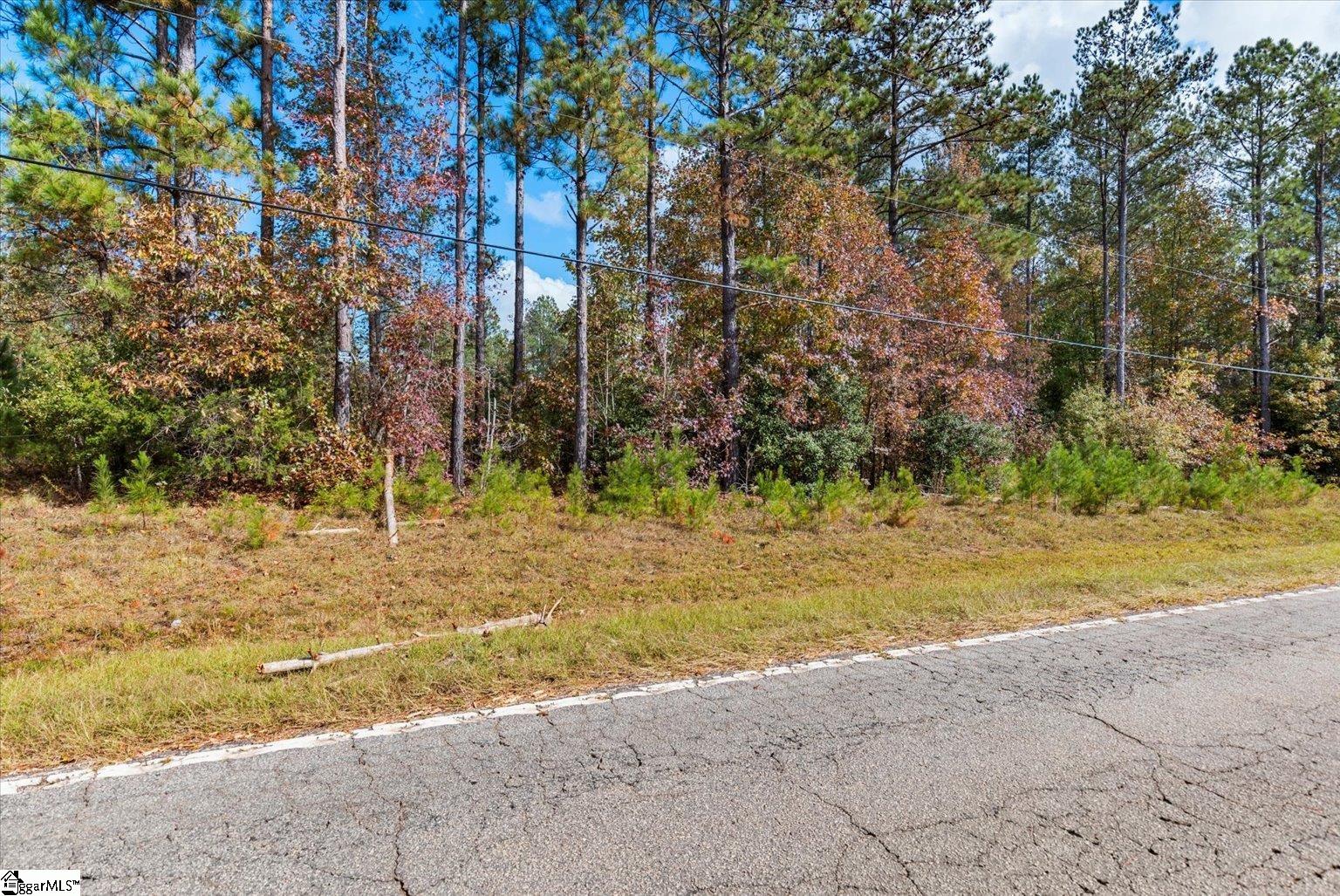 879 Dunklin Bridge Road Fountain Inn, SC 29644 - Photo 12 of 26