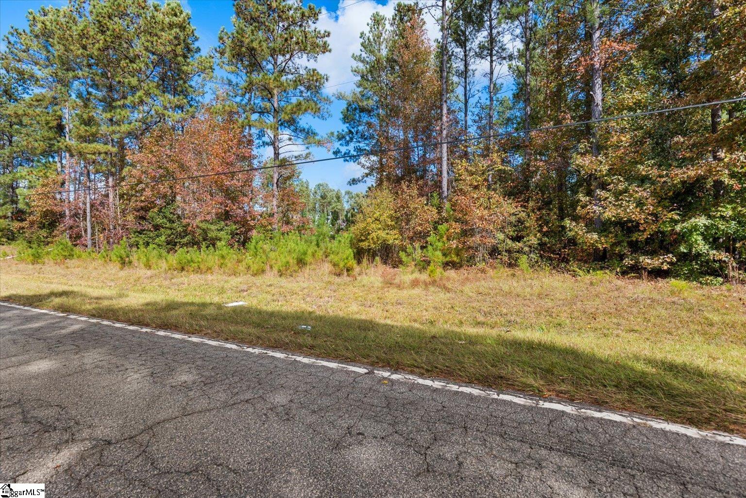 879 Dunklin Bridge Road Fountain Inn, SC 29644 - Photo 13 of 26