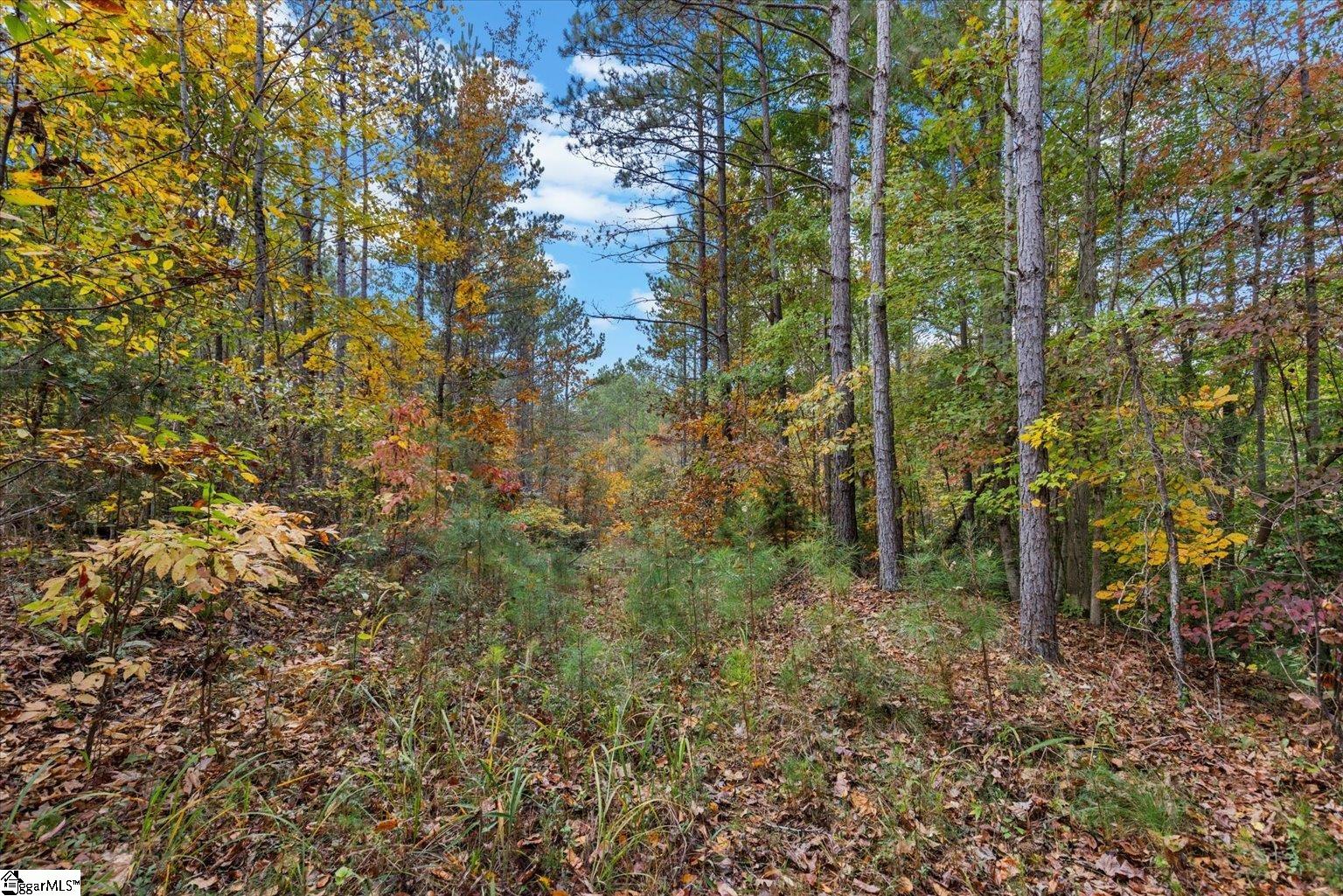 879 Dunklin Bridge Road Fountain Inn, SC 29644 - Photo 2 of 26