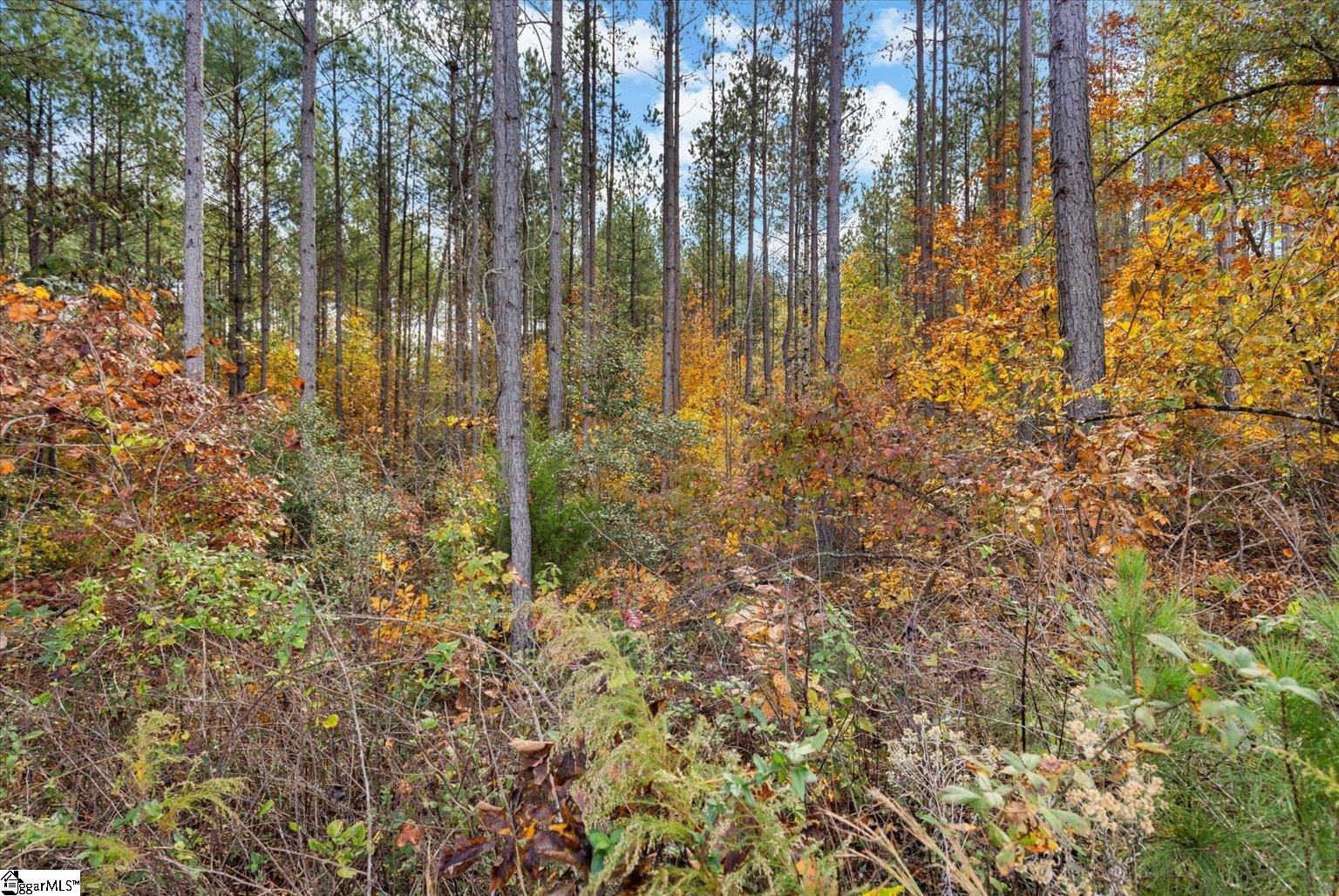 879 Dunklin Bridge Road Fountain Inn, SC 29644 - Photo 7 of 26