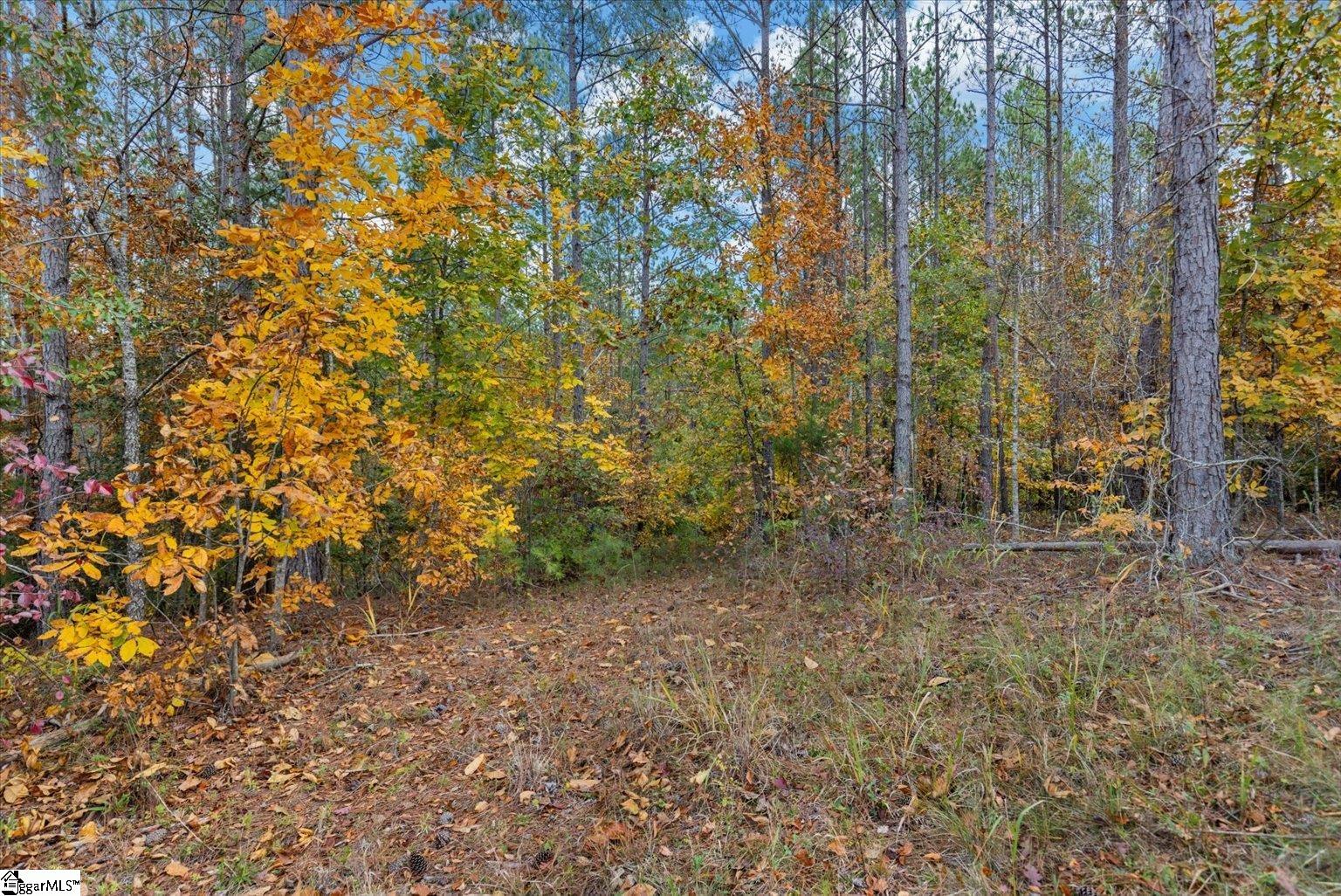 879 Dunklin Bridge Road Fountain Inn, SC 29644 - Photo 8 of 26
