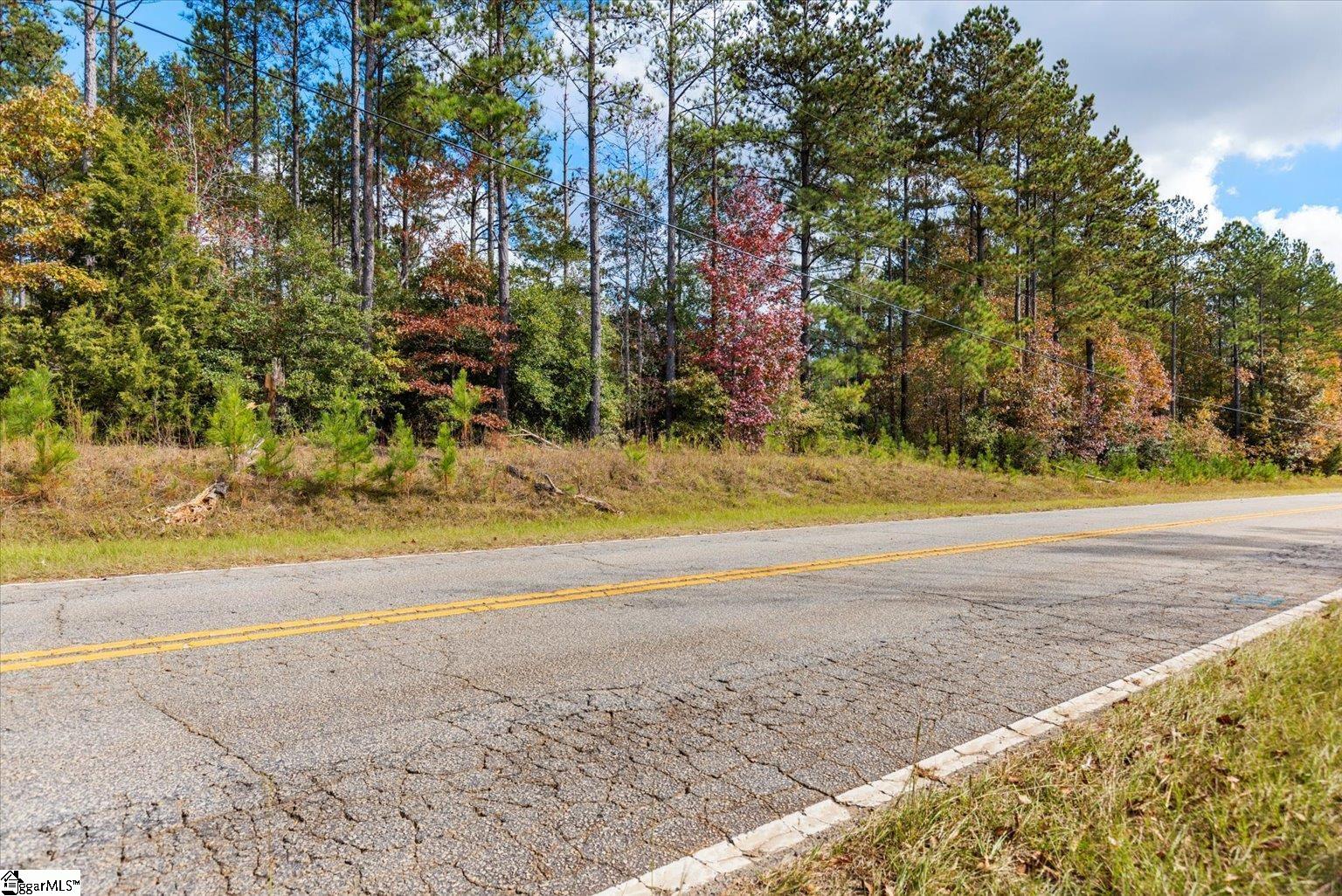 879 Dunklin Bridge Road Fountain Inn, SC 29644 - Photo 10 of 26