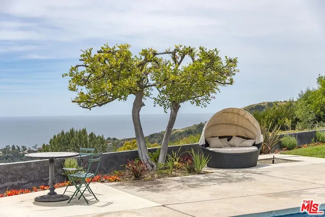 a view of a dry yard with wooden floor and fence