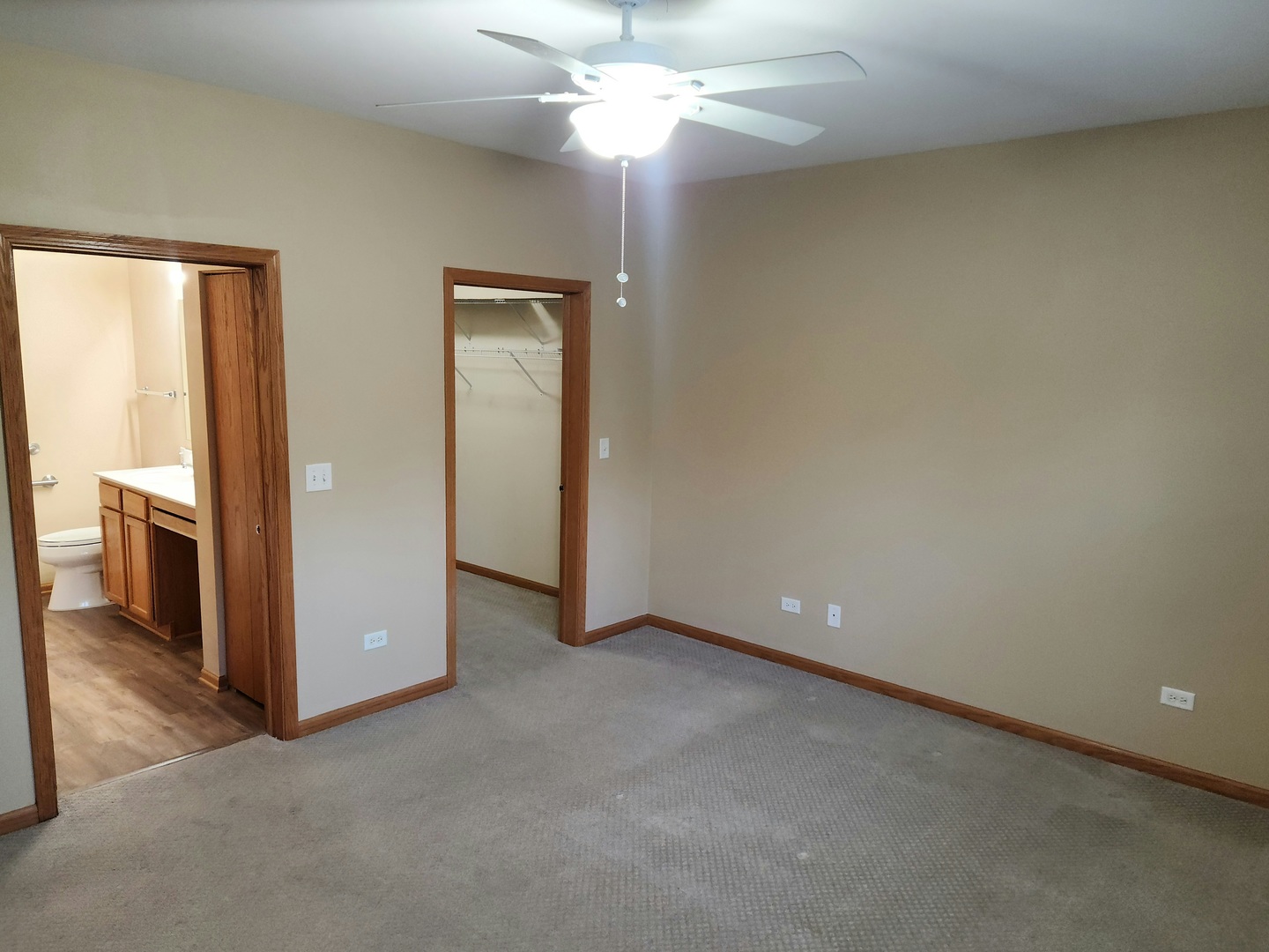 1547 Millbrook Drive Algonquin, IL 60102 - Photo 13 of 17 an empty room with closet and a chandelier fan