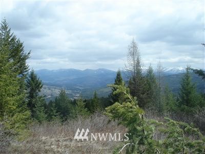 9999-tbd Mule Deer Road Republic, WA 99166 - Photo 1 of 1