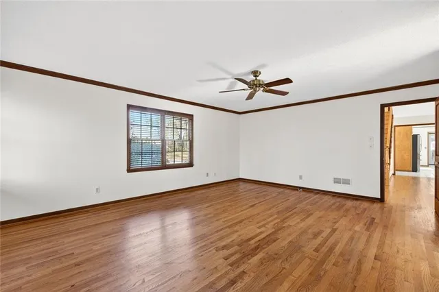 a view of a yard with plants and large trees