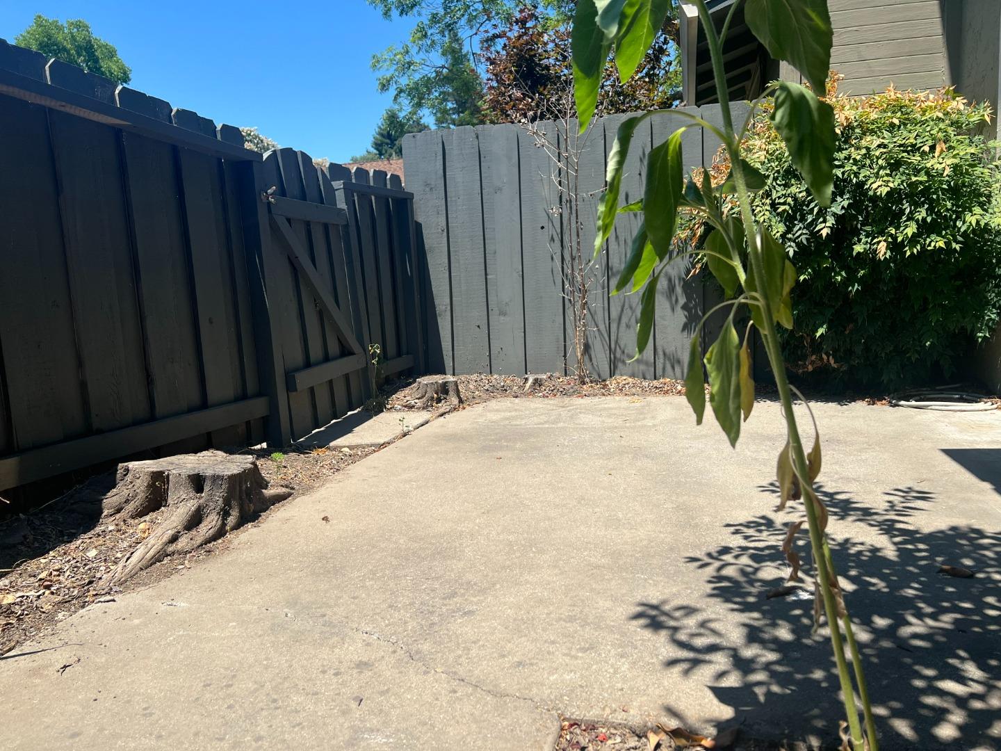 4685 Persimmon Place San Jose, CA 95129 - Photo 12 of 13 a view of a backyard of the house