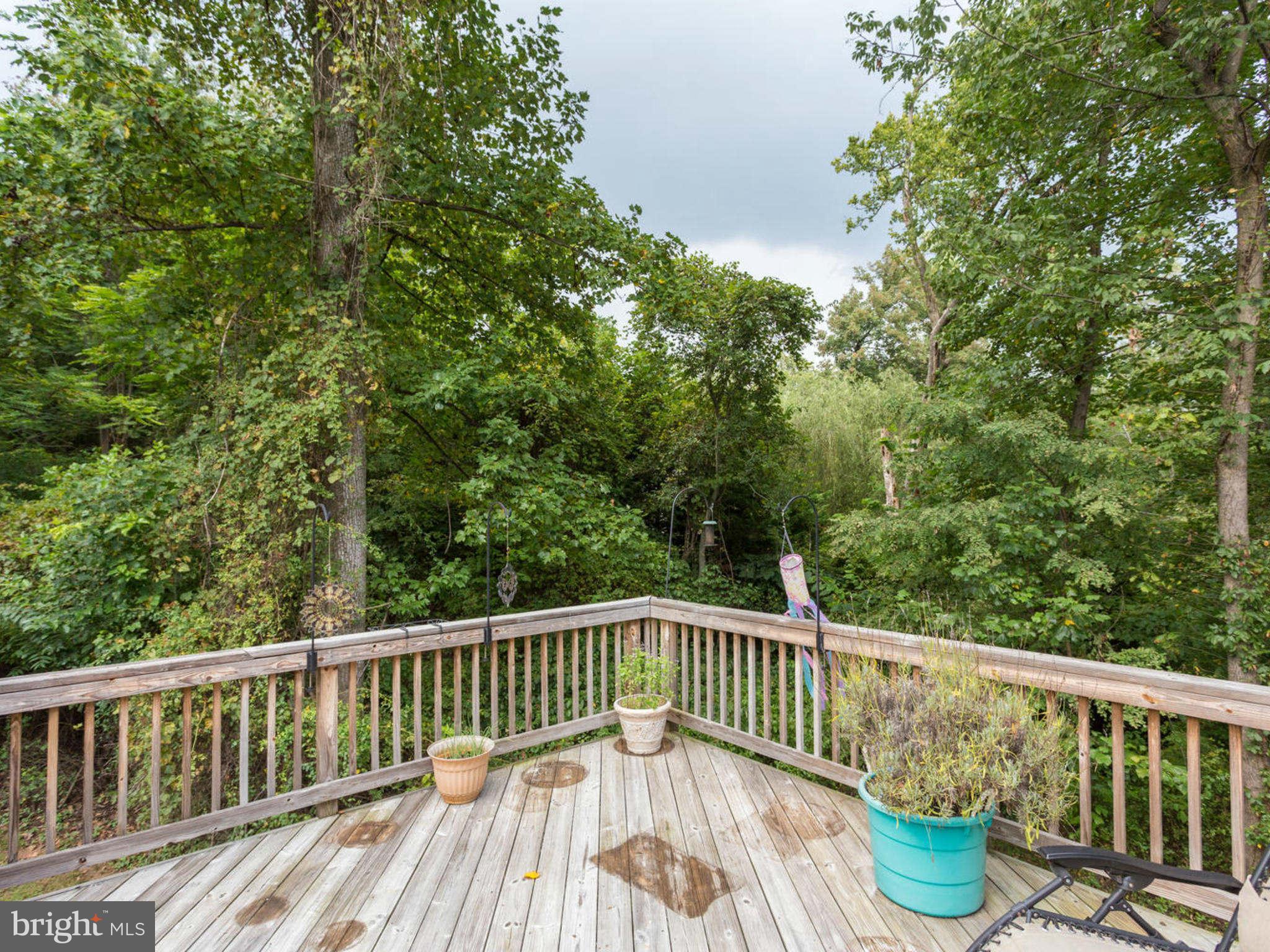 5167 South Run Road Warrenton, VA 20187 - Photo 13 of 30 Exterior (Rear)