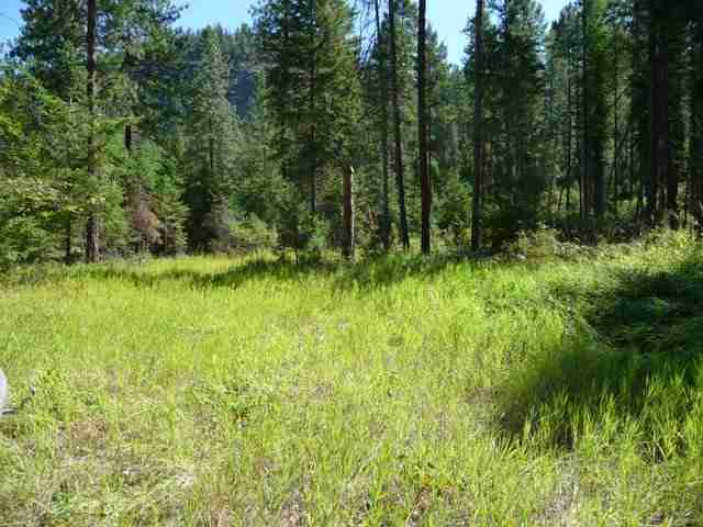 0 Kettle River Road Kettle Falls, WA 99141 - Photo 3 of 9 Gallery Image 3
