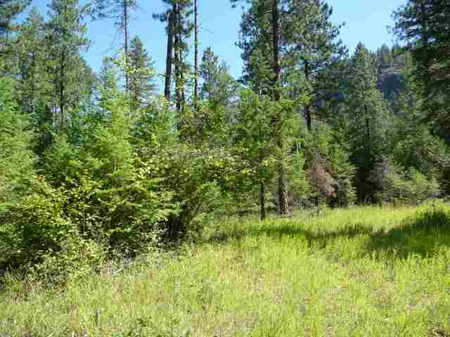 0 Kettle River Road Kettle Falls, WA 99141 - Photo 4 of 9 Gallery Image 4