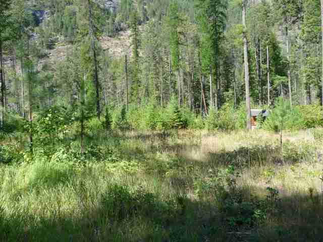 0 Kettle River Road Kettle Falls, WA 99141 - Photo 9 of 9 Gallery Image 9