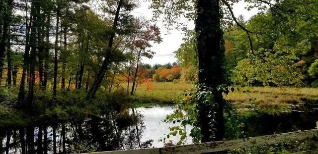 a view of lake from yard