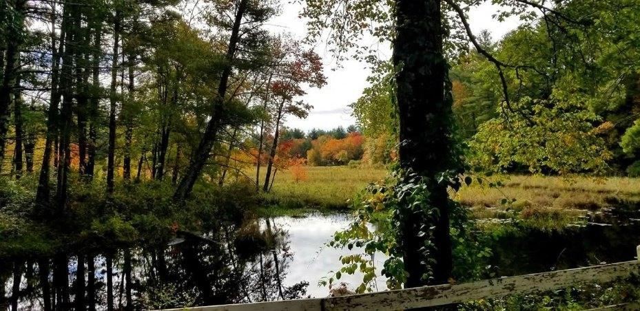 145 Draper Road East Brookfield, MA 01515 - Photo 3 of 41