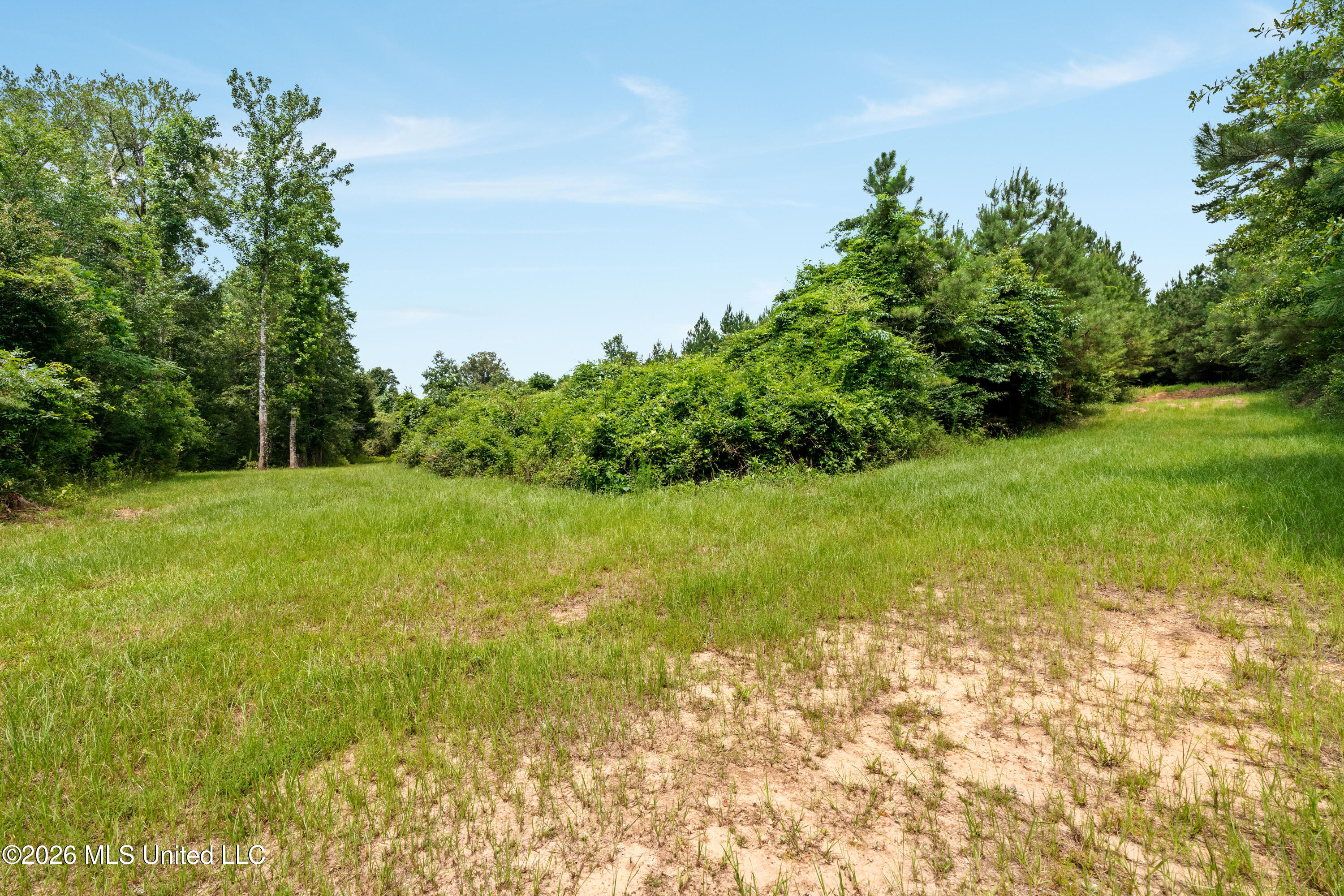 232 Knoxo Columbia Road Tylertown, MS 39667 - Photo 86 of 120 232_Knoxo_Columbia_Rd-85