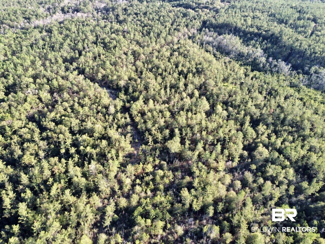 0 C C Road Chunchula, AL 36521 - Photo 22 of 27