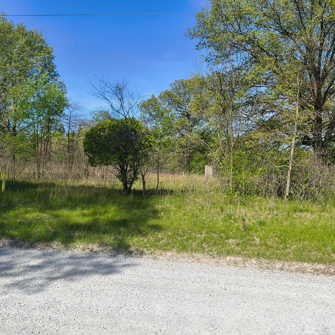 2240 South 15000th Road East Pembroke Township, IL 60958 - Photo 1 of 7