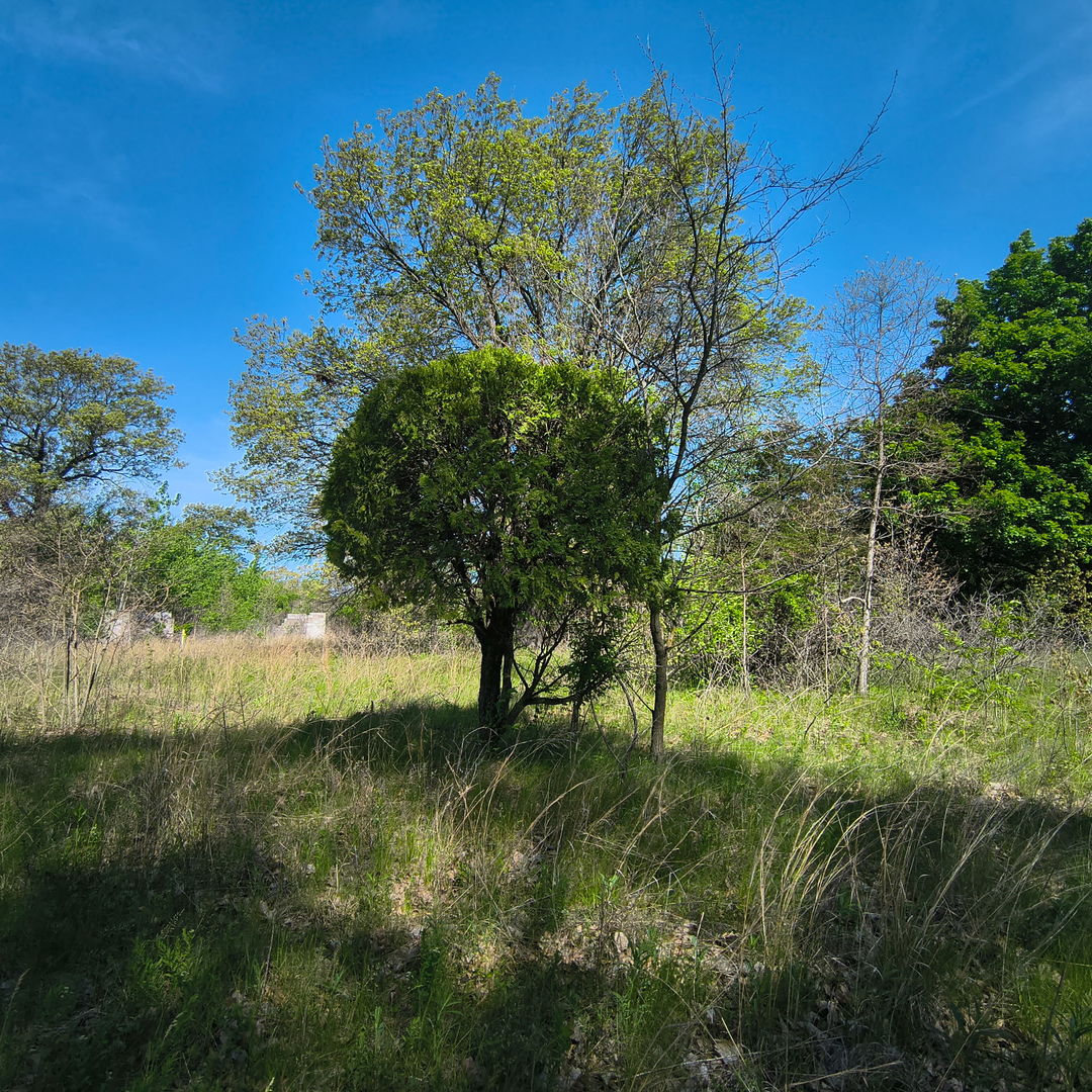 2240 South 15000th Road East Pembroke Township, IL 60958 - Photo 4 of 7