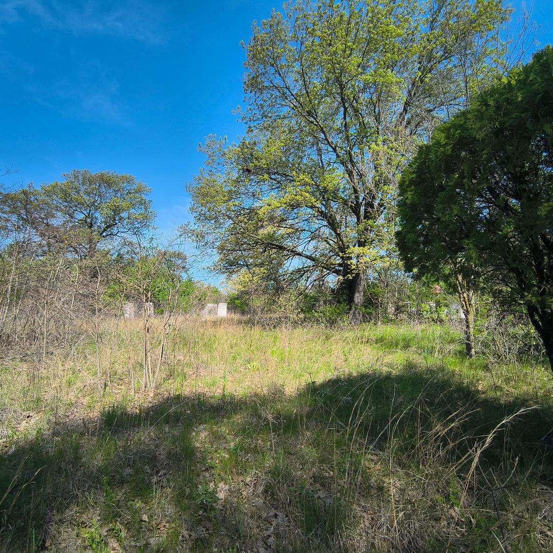 2240 South 15000th Road East Pembroke Township, IL 60958 - Photo 5 of 7