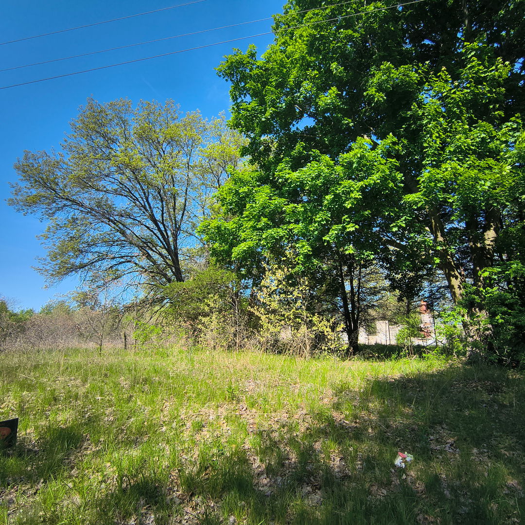2240 South 15000th Road East Pembroke Township, IL 60958 - Photo 6 of 7