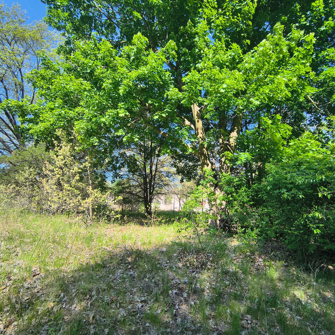 2240 South 15000th Road East Pembroke Township, IL 60958 - Photo 7 of 7