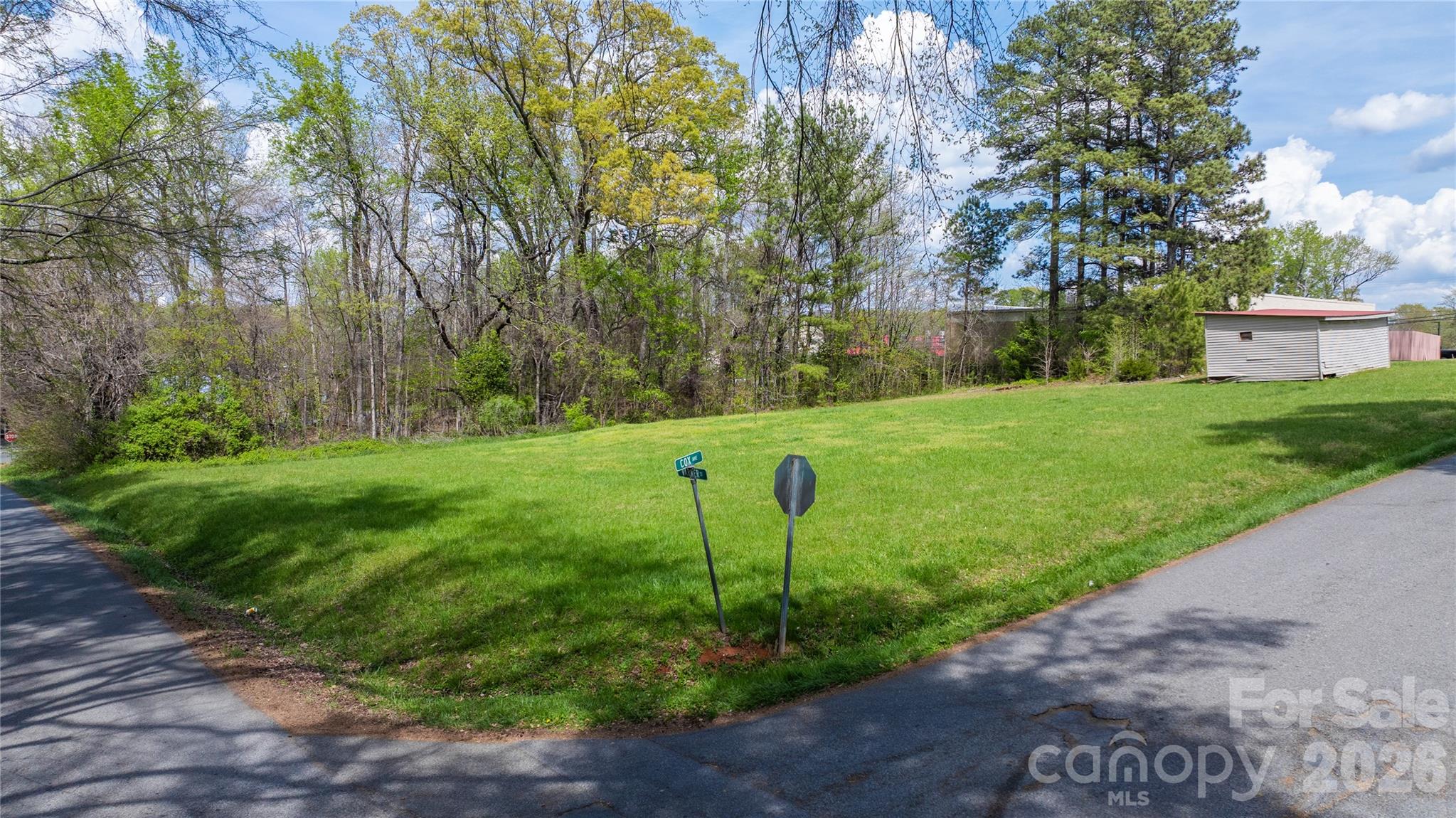 35 Varner Street Denton, NC 27239 - Photo 3 of 16 a garden with a tree in the background