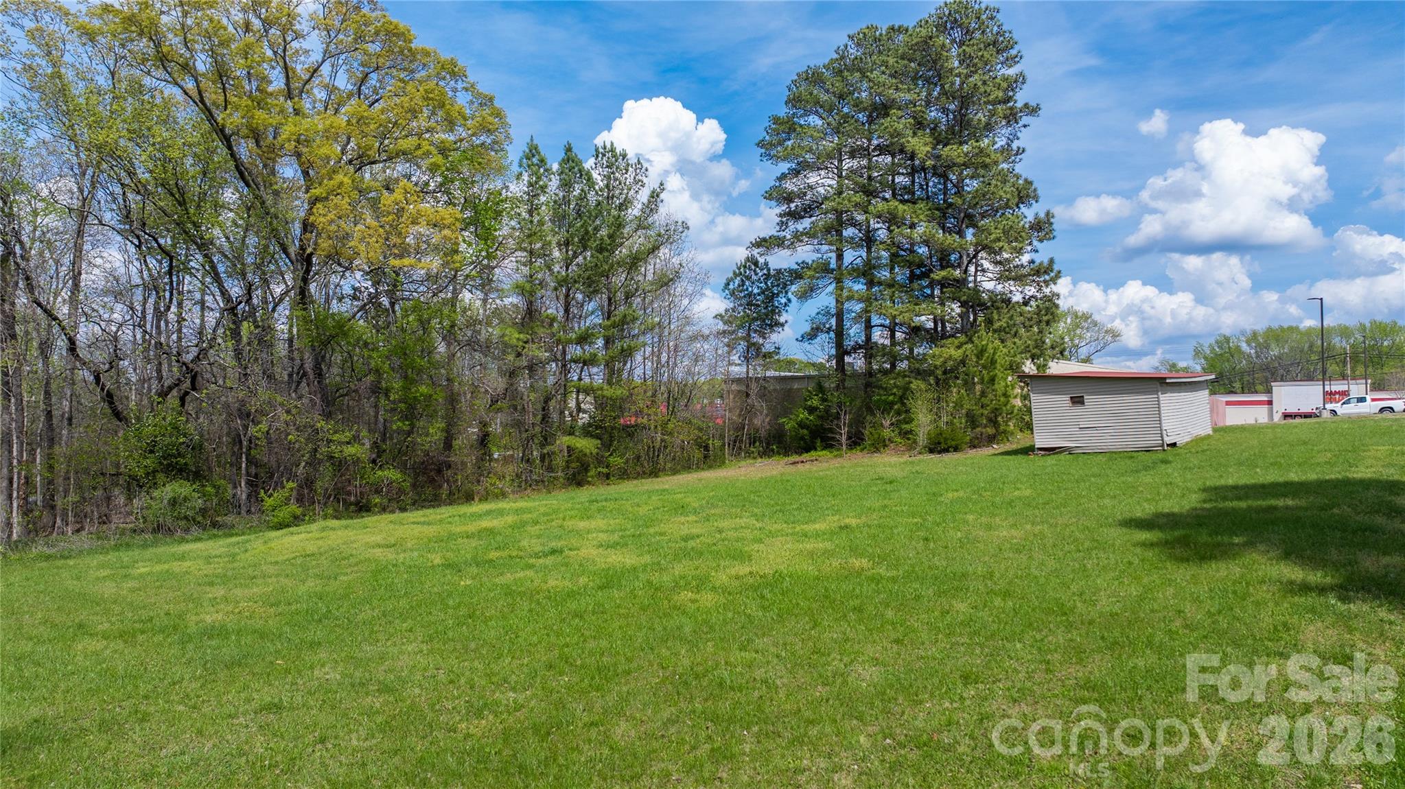 35 Varner Street Denton, NC 27239 - Photo 4 of 16 a view of a backyard with large trees