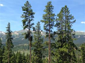 71 Rounds Road Breckenridge, CO 80424 - Photo 2 of 7 a view of a yard
