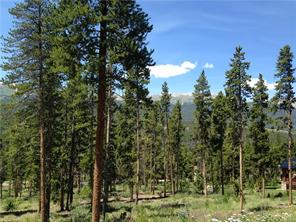 71 Rounds Road Breckenridge, CO 80424 - Photo 3 of 7 a view of a bunch of trees